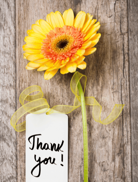 Thank You Card